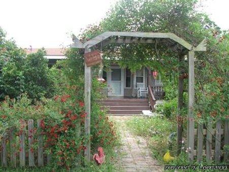 Allen Acres Bed And Breakfast DeRidder Exteriör bild
